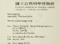 登錄號:F0014261藏品圖，第2張