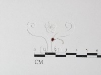 登錄號:F0014261藏品圖，第3張