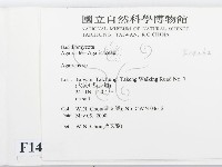 傘菌屬藏品圖，第2張