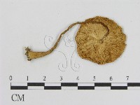 登錄號:F0014264藏品圖，第1張