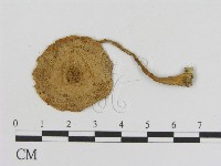 登錄號:F0014264藏品圖，第3張