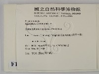 登錄號:F0014265藏品圖，第2張