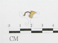 鬼傘屬藏品圖，第1張