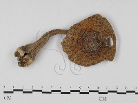 登錄號:F0014272藏品圖，第1張