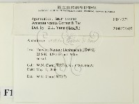 登錄號:F0014273藏品圖，第2張