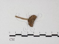 登錄號:F0014273藏品圖，第1張