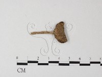 登錄號:F0014273藏品圖，第4張