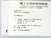 登錄號:F0014275藏品圖，第2張