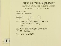 登錄號:F0014276藏品圖，第2張