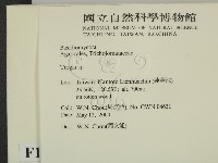 登錄號:F0014277藏品圖，第2張