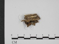 登錄號:F0014277藏品圖，第3張