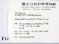 登錄號:F0014279藏品圖，第2張