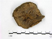 登錄號:F0014279藏品圖，第3張