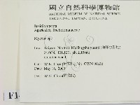 小菇屬藏品圖，第2張