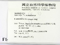 登錄號:F0014284藏品圖，第2張