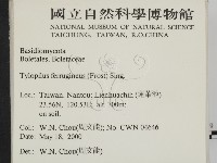 登錄號:F0014290藏品圖，第2張