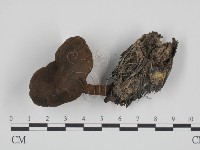 登錄號:F0014290藏品圖，第1張