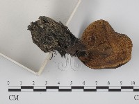 登錄號:F0014290藏品圖，第3張