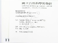 登錄號:F0014291藏品圖，第2張