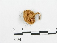 登錄號:F0014291藏品圖，第1張