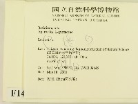 登錄號:F0014292藏品圖，第2張
