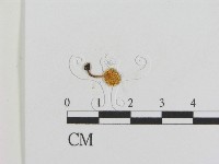登錄號:F0014292藏品圖，第3張