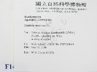 登錄號:F0014293藏品圖，第2張