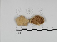 登錄號:F0014294藏品圖，第3張