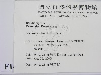 登錄號:F0014295藏品圖，第2張