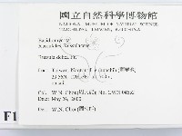 登錄號:F0014296藏品圖，第2張