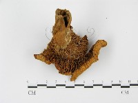 登錄號:F0014296藏品圖，第3張