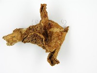 登錄號:F0014296藏品圖，第8張