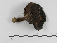 登錄號:F0014297藏品圖，第3張