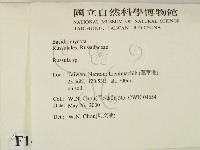 紅菇屬藏品圖，第2張