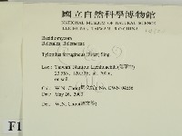 登錄號:F0014300藏品圖，第2張