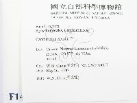 登錄號:F0014301藏品圖，第2張