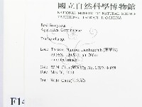 登錄號:F0014302藏品圖，第2張