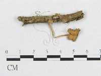 登錄號:F0014302藏品圖，第1張