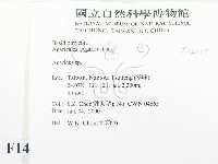 傘菌屬藏品圖，第2張