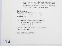 粉褶菌屬藏品圖，第2張