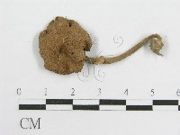 登錄號:F0014314藏品圖，第3張