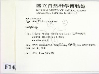 登錄號:F0014317藏品圖，第2張