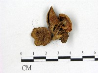 登錄號:F0014317藏品圖，第1張