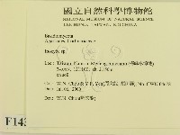 登錄號:F0014319藏品圖，第2張