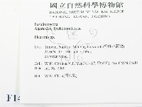 登錄號:F0014321藏品圖，第2張