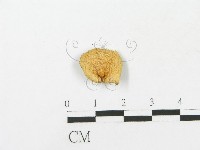 登錄號:F0014321藏品圖，第3張