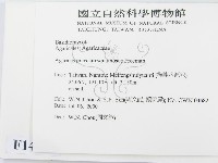 登錄號:F0014322藏品圖，第2張