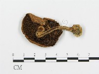 登錄號:F0014322藏品圖，第1張