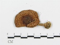 登錄號:F0014322藏品圖，第3張