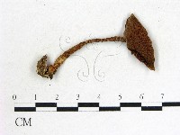 登錄號:F0014323藏品圖，第1張